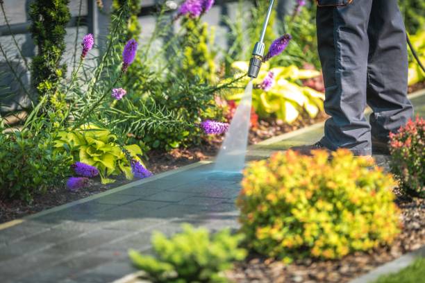 Best Parking Lot and Garage Cleaning  in Ames Lake, WA