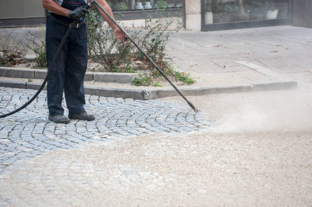 Best Animal Enclosure Cleaning  in Ames Lake, WA